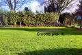 Grootte plek 18